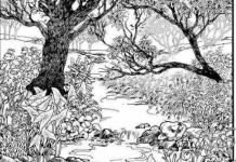 Mnogi su probali, ali RIJETKO KO USPIJE: Svako ko pronađe ženu na fotografiji ima natprosečnu inteligenciju!