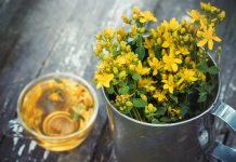 KANTARIONOVO ULJE JE PRAVI LIJEK: Šest problema koje rješava kao od šale