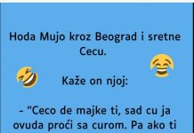 VIC: Mujo sretne Cecu