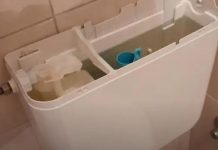 Čula je da nešto klokoće u vodokotliću: Kad ga je otvorila, od prizora se sledila na mestu, au kakav horor (FOTO)