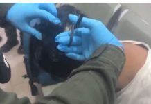 SKANDAL NA AERODROMU! Policajci primijetili muškarca sa čudnom frizurom, pa ga OŠIŠALI: Sve što se desilo poslije toga doživjeli su kao najveći šok u svojim životima (FOTO, VIDEO)