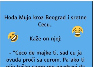 VIC: Mujo sretne Cecu