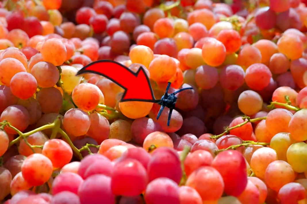 ChatGPT Image 2025 M12 3 16_55_14