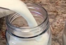 Jedan zaboravljeni napitak čisti creva kao rukom i vraća energiju: Pijte ga svaki dan, bolji je od probiotika