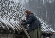 Starija žena je tokom celog leta i jeseni postavljala oštre drvene kolce na krov svoje kuće. Komšije su se smeškale — sve dok nije stigla zima.