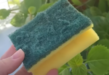 Od otpada do zlata: Nevjerovatna nova namjena starog sunđera! Ovo je trik koji je odusevio svijet”