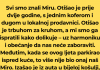 Komšija se vratio iz Njemačke nakon dvije godine i odjednom “zaboravio” naš jezik, a onda ga je majka pred svima podsjetila ko je