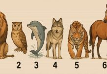 Odaberite jednu životinju sa slike i otkrijte šta drugi misle kad se spomene vaše ime