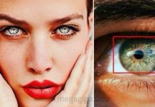 6 znakova da imate posla sa zmijom od osobe, koja samo čeka priliku da vas ‘ugrize’