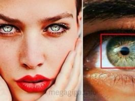 6 znakova da imate posla sa zmijom od osobe, koja samo čeka priliku da vas ‘ugrize’