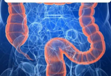 Iz crijeva kreću sve bolesti: Doktorka otkriva da za dobro varenje svaki dan treba da jedemo 30 grama ove namirnice