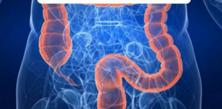 Iz crijeva kreću sve bolesti: Doktorka otkriva da za dobro varenje svaki dan treba da jedemo 30 grama ove namirnice