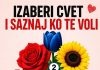 Koji cvet biraš? Pogledajte prvi komentar da vidite ko te voli 👀