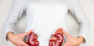 JEDNA ČAŠA UJUTRO I NAVEČER: Ovi listovi mogu očistiti vaše bubrege i učiniti da rade besprijekorno!