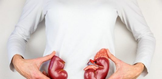 JEDNA ČAŠA UJUTRO I NAVEČER: Ovi listovi mogu očistiti vaše bubrege i učiniti da rade besprijekorno!