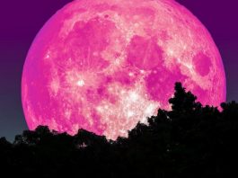 Pun mesec 2. aprila napraviće haos u našim životima: Evo ko će proći najgore