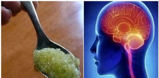 I LJEKARI ZBUNJENI: Ovaj recept povećava memoriju i koncentraciju za 75% nakon samo 2 sedmice