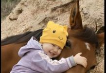 “Konj je osjetio nešto što niko drugi nije: Nevjerojatna priča o djevojčici koja je zahvaljujući svom najboljem prijatelju spasila život”