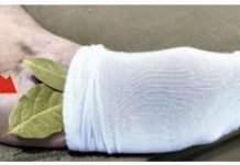 Moj deda je stavio lovorov list u čarapu i legao na spavanje: Stari trik koji se NIKAD ne sme zaboraviti, evo zašto!