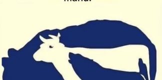 Dakle… koju životinju prvo vidite? Pogledajte prvi komentar da biste saznali svoju “najgoru manu”