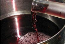 Čisti Krv, Jača Imunitet, Štiti Krvne Sudove i Srce: Čudesni Napitak koji Liječi 100 Bolesti – Napravite ga Sami!