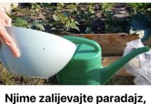 0vim zalijevajte paradajz, krastavce i jagode u MAJU: 0V0 JE NAJB0LJE ĐUBRlV0!