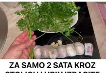 ZA SAMO 2 SATA KR0Z ST0LICU I URlN lZBACITE SVE ST0 SMETA ZDRAV0M 0RGANIZMU! Univerzalni LIJEK!